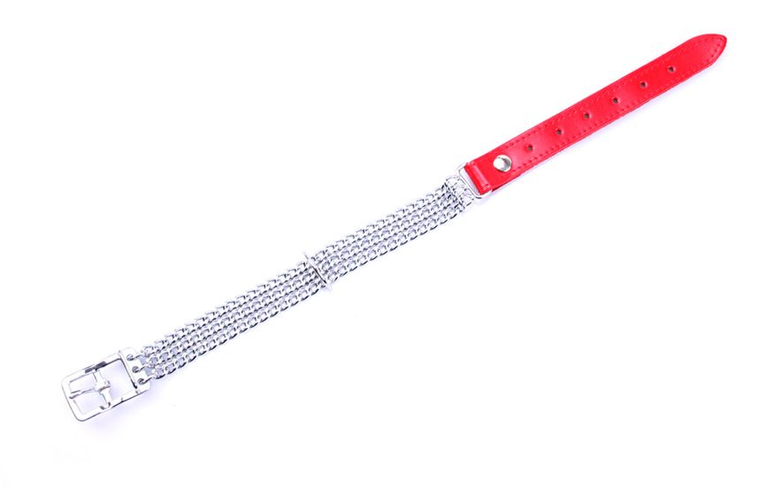 Chain Collar Rood